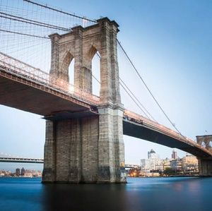 Meet your Posher, Chadwick